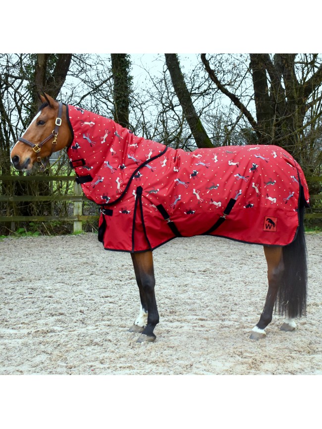 R426- Charlie 200g Combo Turnout Rug with Fully Detachable Hood